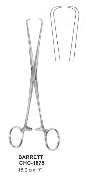 CHC-1875 | Gynecology |