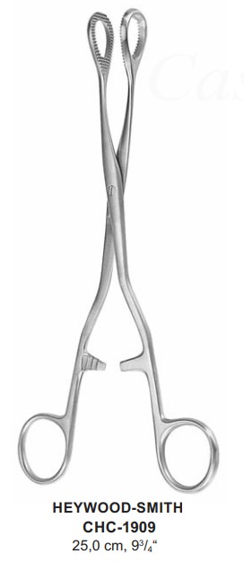 CHC-1909 | Gynecology |