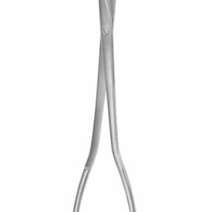 CHC-2013 | Gynecology |
