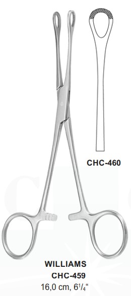 CHC-460 | Stomach, Intestines |
