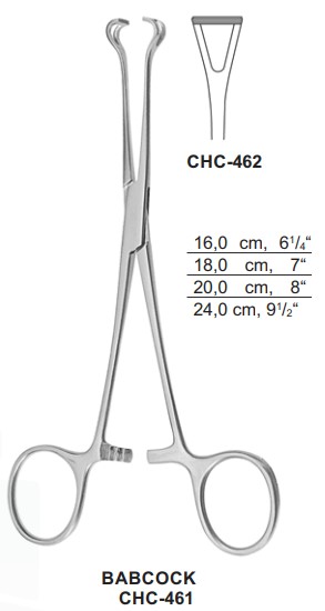 CHC-462 | Stomach, Intestines |