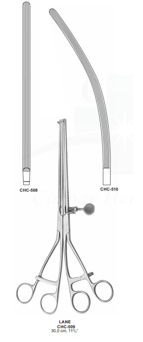 CHC-508 | Stomach, Intestines |